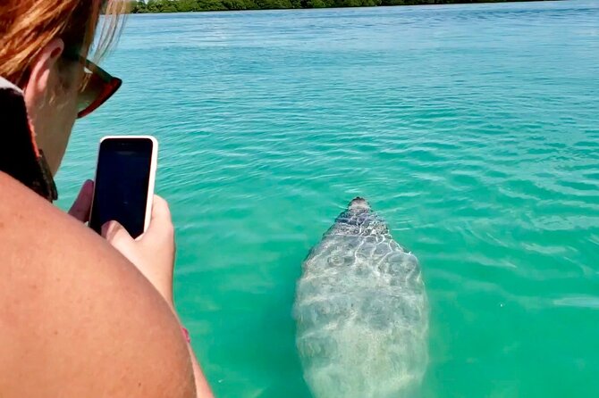 Nature Day, Sian Kaan Biosphere Tour! Round Transportation from Tulum City - Snorkeling, fish, and the natural pool swim