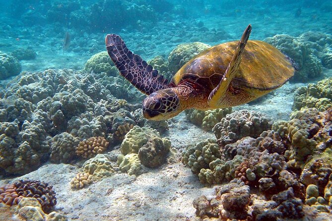 Nature Day, Sian Kaan Biosphere Tour! Round Transportation from Tulum City - Lunch and what is included