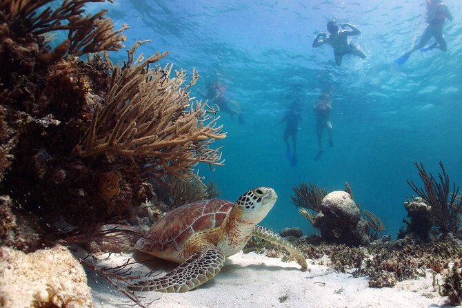 Nature Day, Sian Kaan Biosphere Tour! Round Transportation from Tulum City - How the weather and season may shape the day