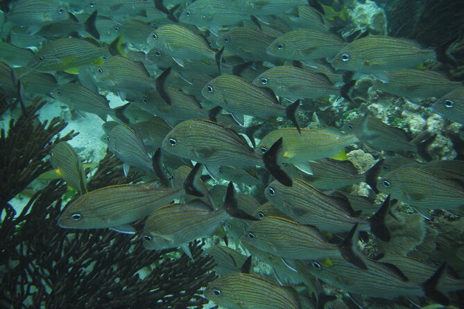 Nature Day, Sian Kaan Biosphere Tour! Round Transportation from Tulum City - Who will enjoy this tour most
