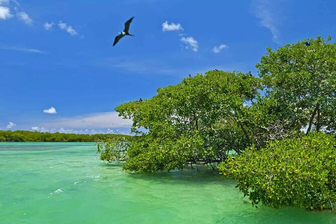 Nature Day, Sian Kaan Biosphere Tour! Round Transportation from Tulum City - The long road toward Punta Allen