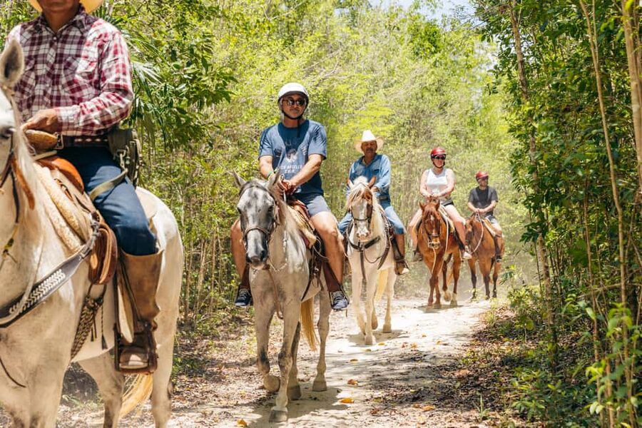 Nature Tour - Key points to know before booking