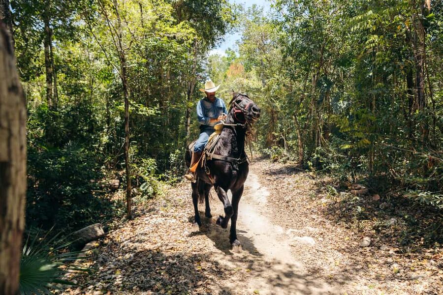 Nature Tour - The zip line: fun, with a practical catch