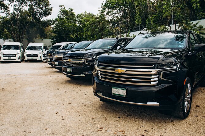 One Way Private Transfer Playa del Carmen - Cancun Int Airport - Key points for your Playa del Carmen airport ride