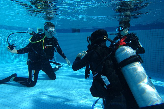 Open Water Diver 2-Day PADI Course in Playa del Carmen - Before the first morning: complete the theory
