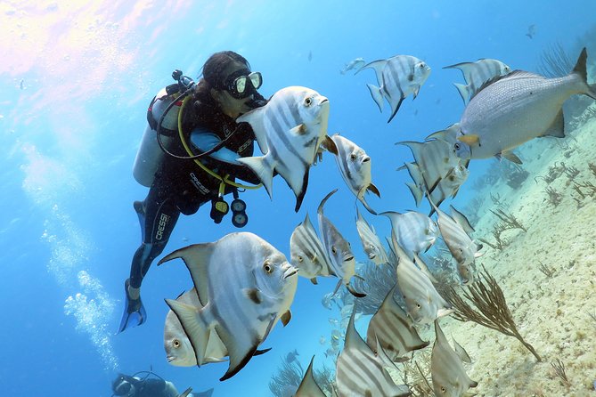 Open Water Diver 2-Day PADI Course in Playa del Carmen - A sensible response to changing conditions