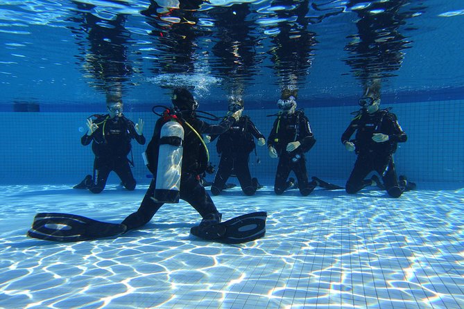 Open Water Diver 2-Day PADI Course in Playa del Carmen - What the PADI qualification allows