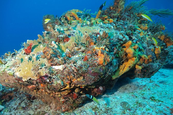 Open Water Diver course PADI including underwater video - What the $480 price includes