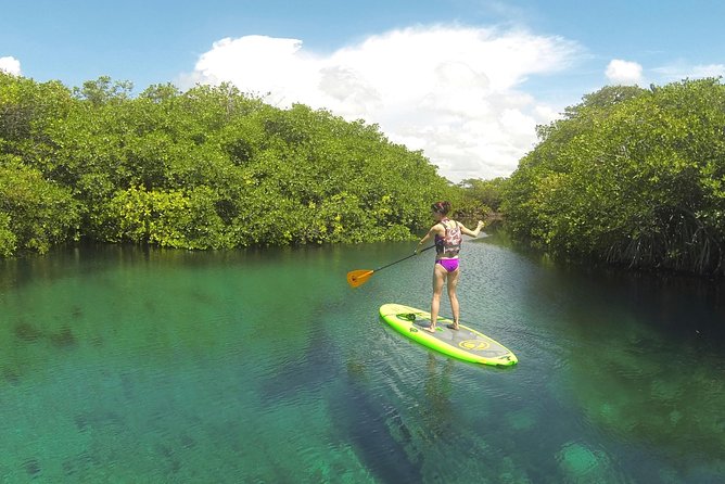 Paddleboard Cenote Tour - A private tour changes the pace