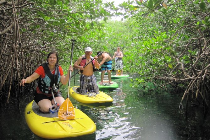 Paddleboard Cenote Tour - Who will get the most from this outing