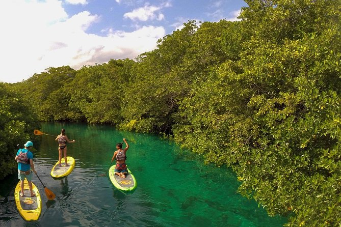 Paddleboard Cenote Tour - Learning SUP skills without pressure