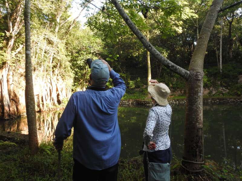 Playa del Carmen: Guided Birdwatching Hike - Leaving Playa del Carmen before the heat