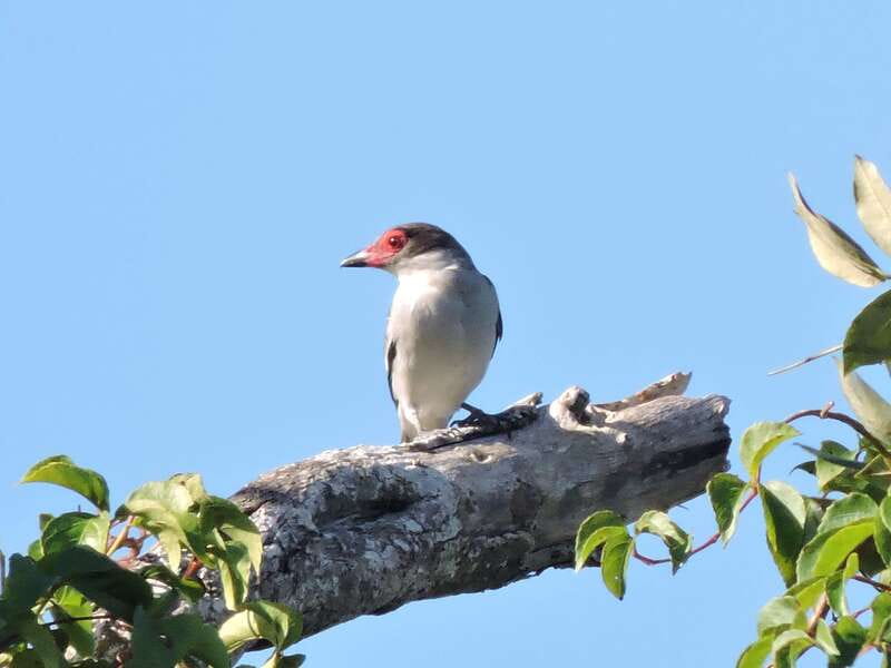 Playa del Carmen: Guided Birdwatching Hike - Is $178 a fair price?