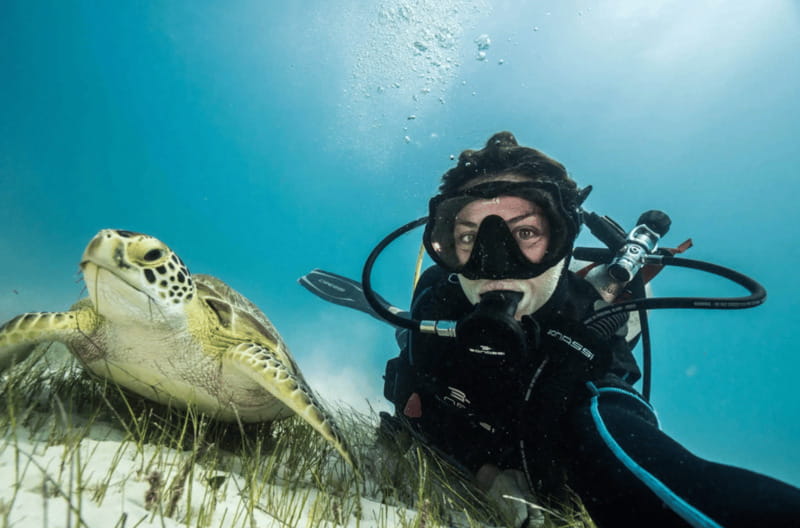 Playa del Carmen: Guided Reef Diving for Certified Divers - Marine life you may see beneath Playa del Carmen