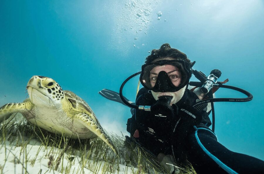 Playa del Carmen: Guided Reef Diving for Certified Divers - Is $142 a fair price?
