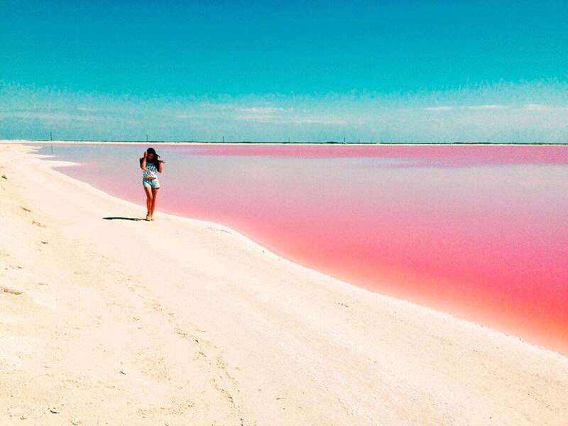 Playa del Carmen: Rio Lagartos and Las Coloradas Tour - Should you book the Rio Lagartos and Las Coloradas tour?