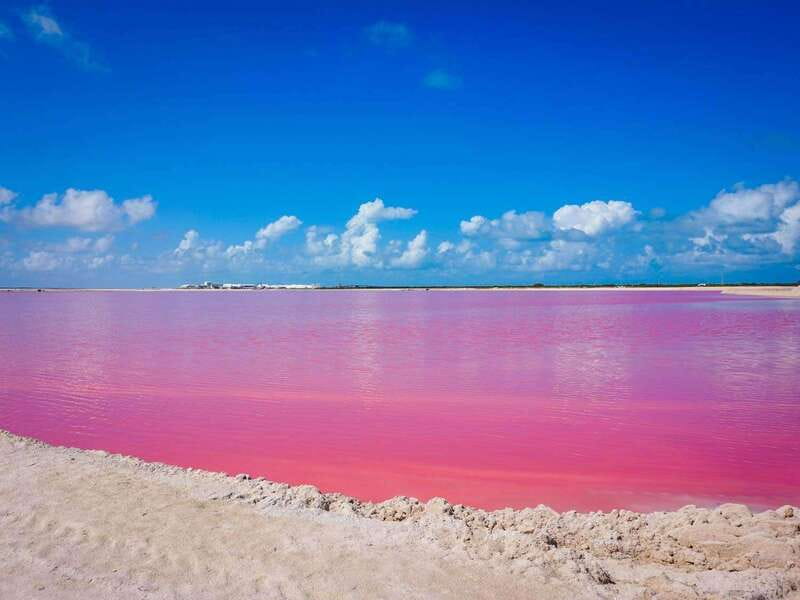 Playa del Carmen: Rio Lagartos and Las Coloradas Tour - Lunch in Rio Lagartos: local setting, mixed expectations