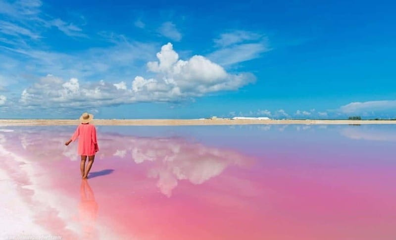 Playa del Carmen: Rio Lagartos and Las Coloradas Tour - Who will enjoy this tour most