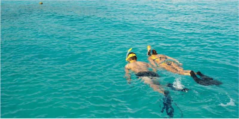 Playa del Carmen: Snorkel Tour at Local Reef - Why the shallow reef works so well for first-timers