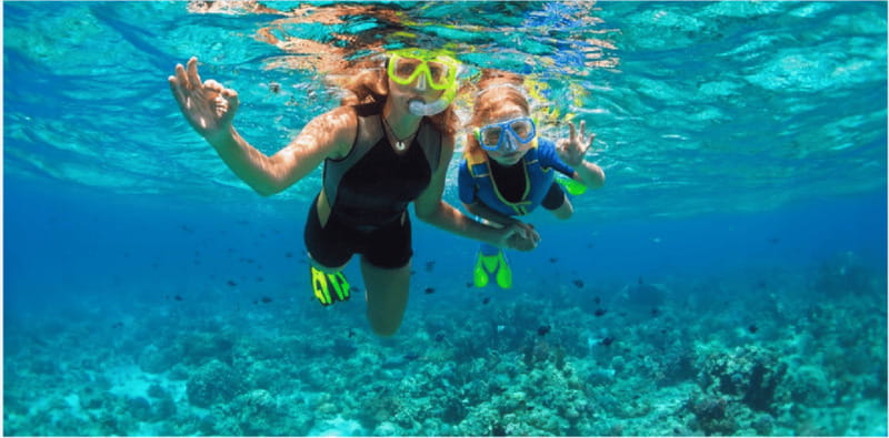 Playa del Carmen: Snorkel Tour at Local Reef - An unexpected coastal stop, with one important limit