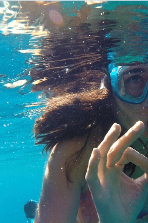 Playa del Carmen: Snorkel Tour at Local Reef - Small-group comfort and the occasional wait
