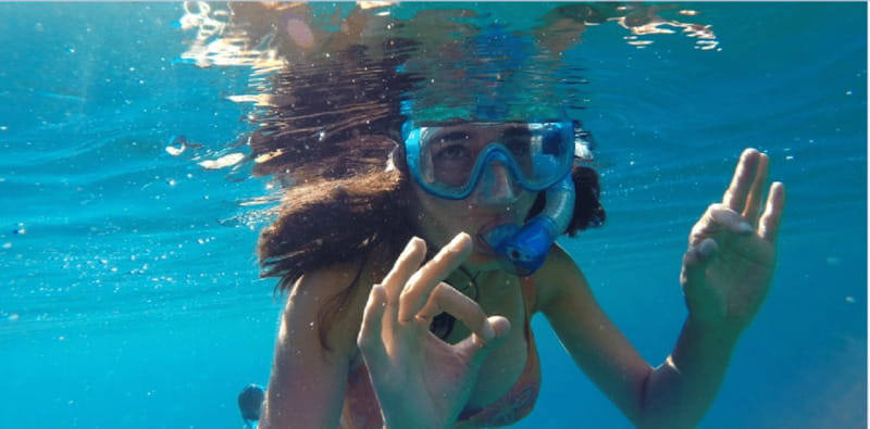 Playa del Carmen: Snorkel Tour at Local Reef - The fish and sea life you may see