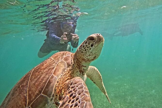 Playa del Carmen Tour Akumal Swimming With Turtles And Lagoon Yal Ku - Two water stops, two very different moods
