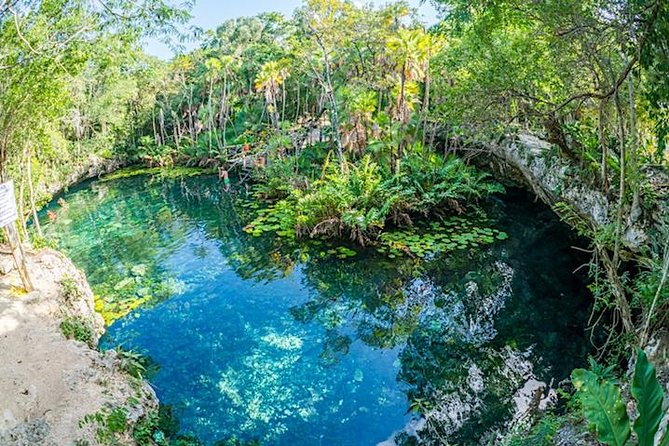 Private 2-Cenote Snorkeling Tour with Authentic Mayan Lunch - Private transport makes the short day easier