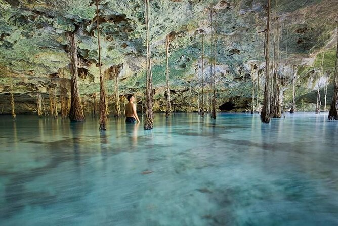 Private 4Cenote Experience, swim in the heart of the Mayan Jungle - Key points to know before booking