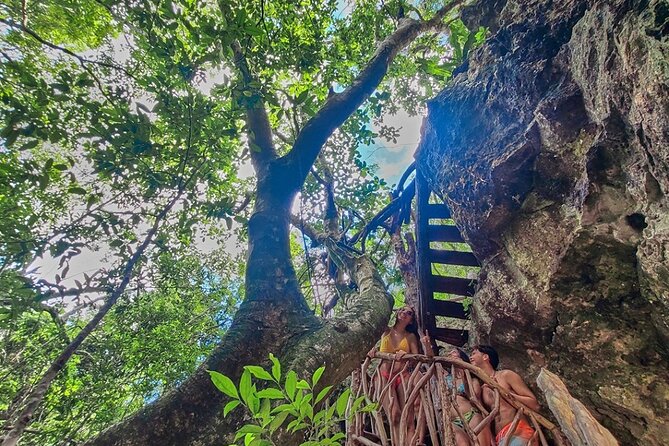 Private 4Cenote Experience, swim in the heart of the Mayan Jungle - Four cenotes in one Mayan jungle outing