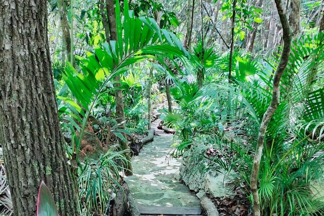 Private 4Cenote Experience, swim in the heart of the Mayan Jungle - Is $140.10 per person good value?