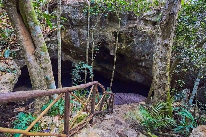 Private 4Cenote Experience, swim in the heart of the Mayan Jungle - Who will enjoy this experience most?