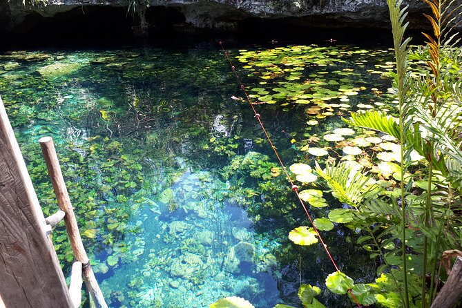Private Akumal & Cenotes tour - Lunch, drinks, and the taco stop