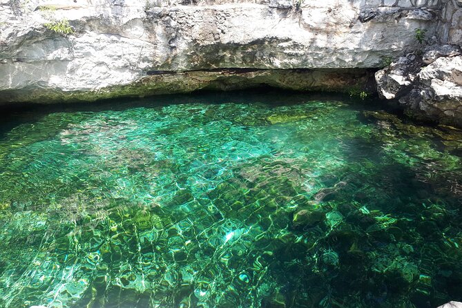 Private Akumal & Cenotes tour - Why the private format matters for up to 15 people