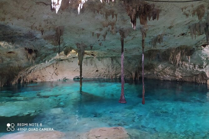 Private Akumal & Cenotes tour - The guides: Josh, Salvador, Leo, and Omar