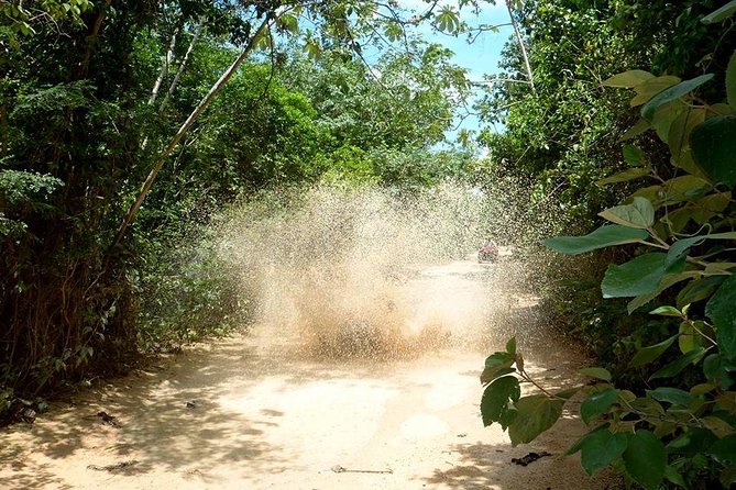 Private ATV Jungle Explorer Tour - Families, children, and mixed groups