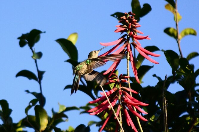 Private Birdwatching Tour in Sian Ka'an Muyil - Muyil village offers a local beginning