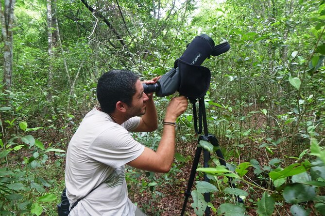 Private Birdwatching Tour in Sian Ka'an Muyil - What the $218 price includes