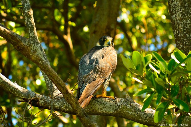 Private Birdwatching Tour in Sian Ka'an Muyil - Booking, cancellation, and practical planning