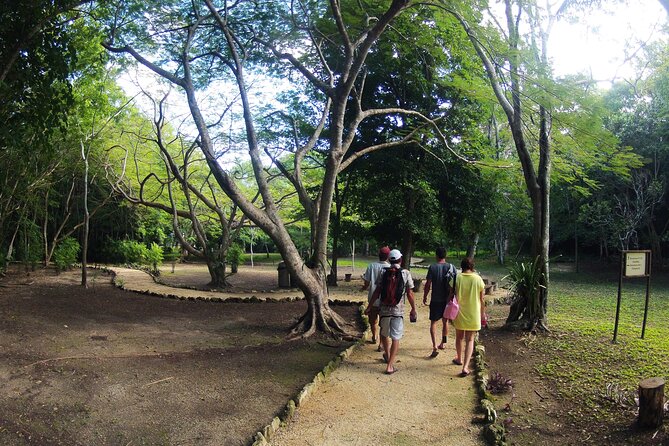 Private Birdwatching Tour in Sian Ka'an Muyil - The archaeological site adds a Maya story