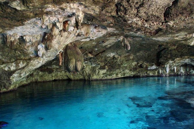 Private Cenote & Cave – Playa del Carmen, Mayan Culture & Fossils - Why Cenote Chaak Tun feels different from a standard swim stop