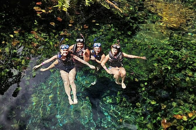 Private Cenote Snorkeling Tour – Tulum’s Hidden Gems - The ride from Tulum in a private minivan