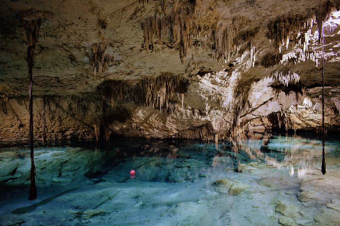 Private Cenote & Snorkeling Tour with Turtles in Akumal - Price, timing, and what to bring