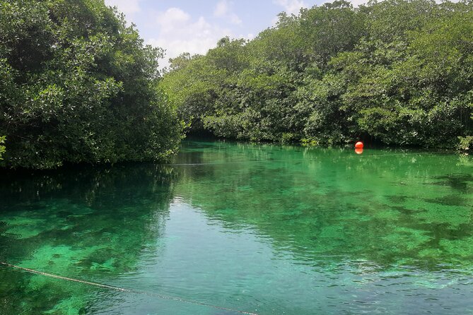 Private Cenotes tour - Cenote Nicte-ha and its underground river