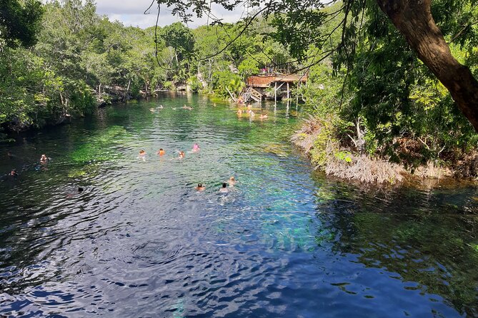 Private Cenotes tour - Timing, pace, and what to expect