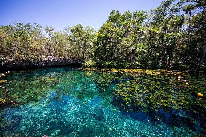 Private Coba & Jungle Adventure: Zipline, Rappel & Cenote - Why the private format is worth considering