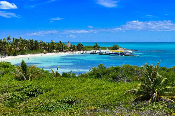 Private Escape: Isla Contoy & Isla Mujeres with Snorkeling - Isla Contoy National Park, where nature takes the lead