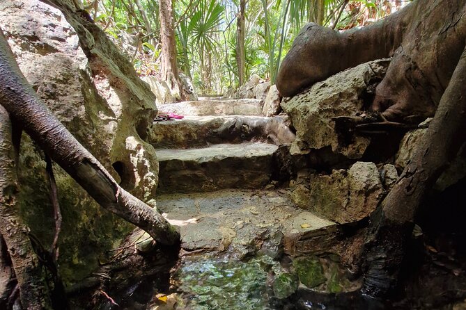 Private experience 5 cenotes at Riviera Maya - Roy makes the private format worthwhile