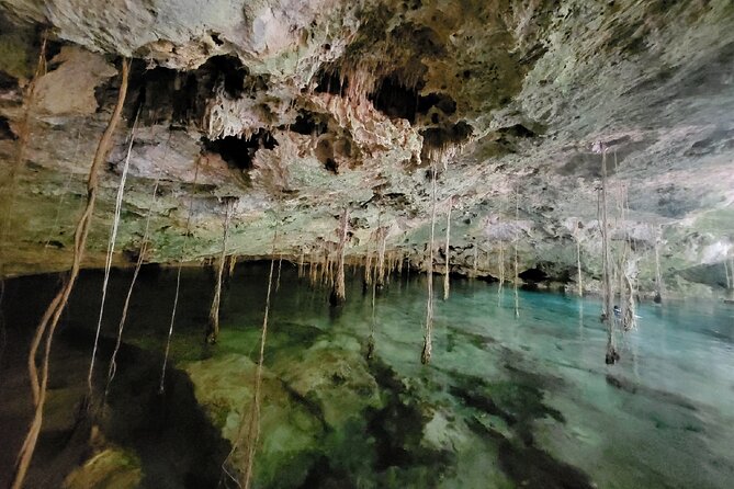 Private experience 5 cenotes at Riviera Maya - What $150 per person really covers