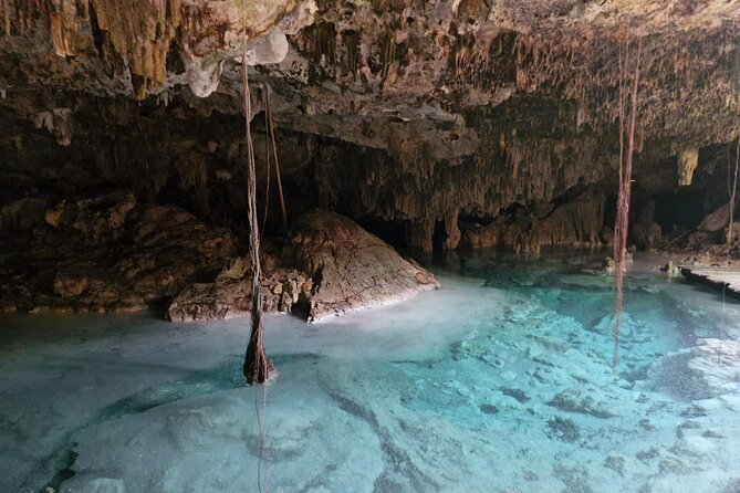 Private experience 5 cenotes at Riviera Maya - The jungle walk adds more than scenery